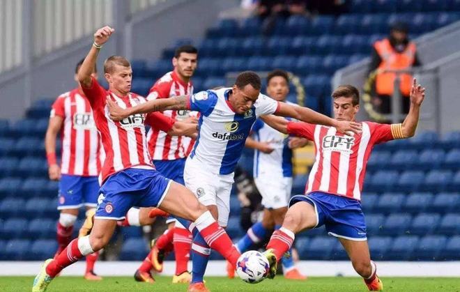 塔坦杯联动 塔坦杯联动