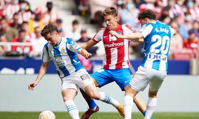 分发侧获得 分发侧获得